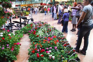 Mindenki kedvére (és pénztárcája szerint) választhat a bőséges kínálatból (Fotó: Dávid Csilla)