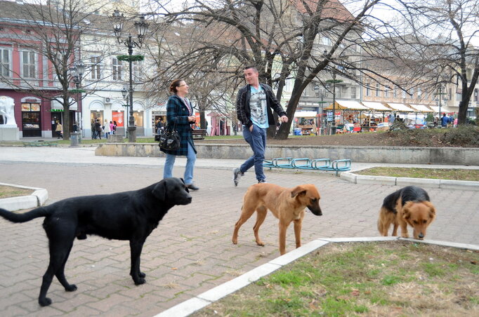 Fotó: Dávid Csilla