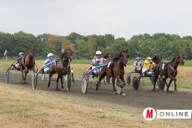 Csincsik Zsolt felvétele