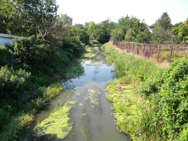 Csak egy szagos kép árulná el, hogy itt baj van (Fotó: Lakatos János)