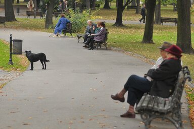 Fotó: Molnár Edvárd