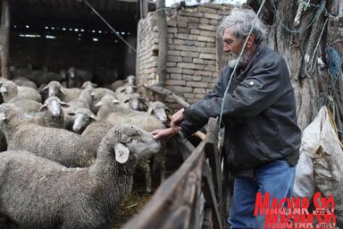 Aki nem szereti a magányt, az nem való juhásznak (Lakatos János felvétele)