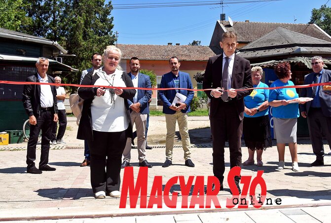 Gergely Árpád felvétele Gergely Árpád felvétele