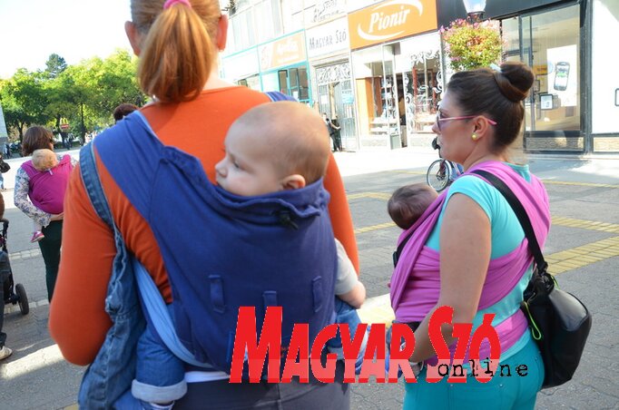 (Fotó: Molnár Edvárd)