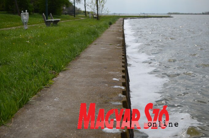 A Palicsi-tóban hat éve nem javasolt a fürdés (Fotó: Molnár Edvárd)