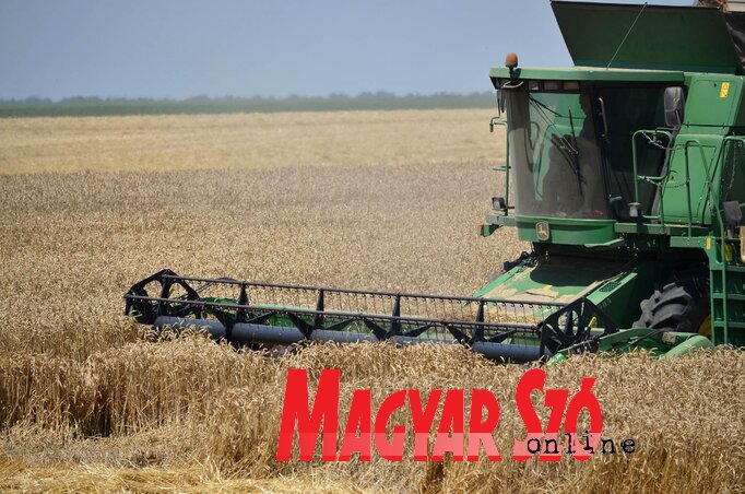 A programot a mezőgazdasági termelőknek, valamint a mikro-, kis- és középvállalatoknak szánják (Fotó: Ótos András)