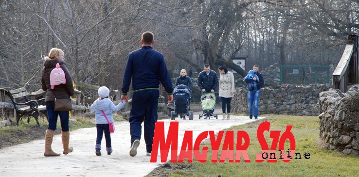 (Fotó: Tómó Margaréta)