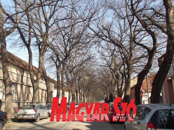 Télen is megvan a saját kis hangulata ennek az utcának (Fotó: Vidács Hajnalka) Télen is megvan a saját kis hangulata ennek az utcának (Fotó: Vidács Hajnalka)