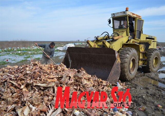 (Fotó: Lakatos János)