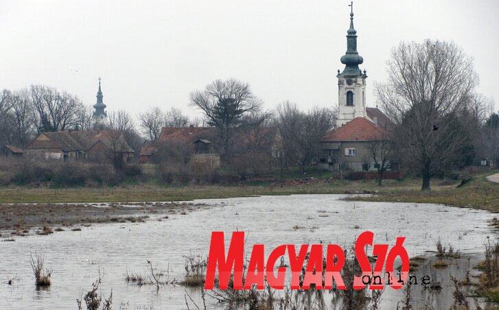Aradácot is „nyaldossa” a víz (Fotó: Kecskés István)