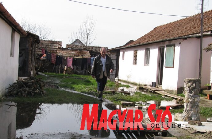 Novak Micić udvara Écskán