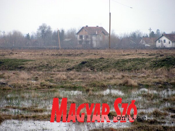 Rég volt ennyi víz a muzslyai réten