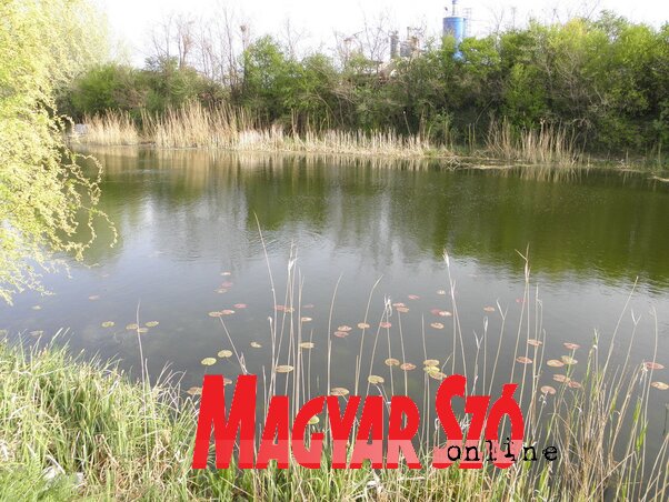 A csatorna nem szeméttelep (Fotó: Fekete J. József)