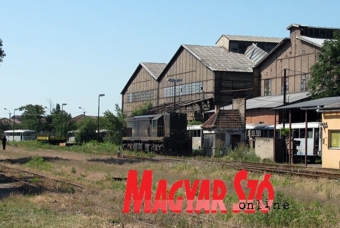 A szomorú valóság (Fotó: Kecskés István)