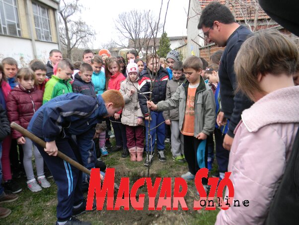 (Fotó: Fehér Rózsa)