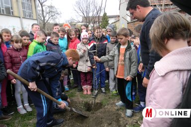 (Fotó: Fehér Rózsa)