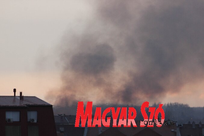 (Fotó: Diósi Árpád)