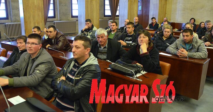 A sikeresen pályázó termelők egy csoportja (Fotó: Ótos András) A sikeresen pályázó termelők egy csoportja (Fotó: Ótos András)