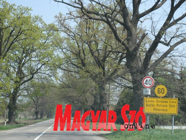 Belátható időn belül remélhetőleg végre Péterrévén is iható víz folyik majd a csapokból (Fotó: Fehér Rózsa)