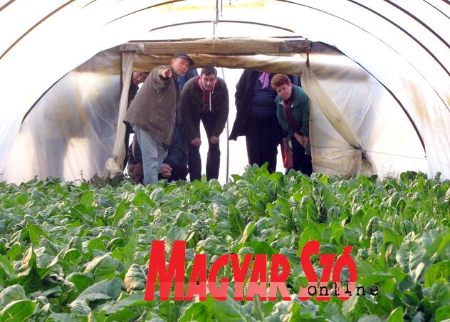 A szakelőadás részvevői megtekintették Balanyi Sándor gazdaságát (Fotó: Kecskés István)