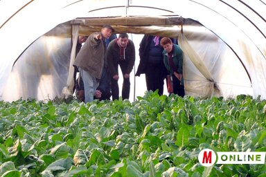 A szakelőadás részvevői megtekintették Balanyi Sándor gazdaságát (Fotó: Kecskés István)