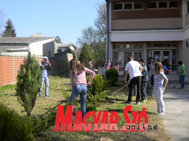 Tegnap az óbecsei központi óvodánál dolgoztak a diákok és a Komunalac munkásai (Fotó: Fehér Rózsa)