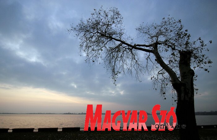 (Fotó: Molnár Edvárd) (Fotó: Molnár Edvárd)