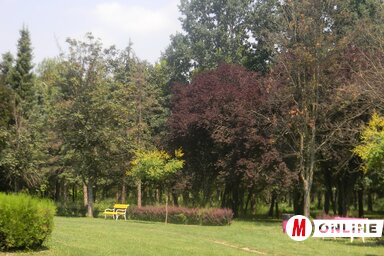 Új életre kel az idén az Erdőtelepítők parkja (Fotó: Fehér Rózsa)