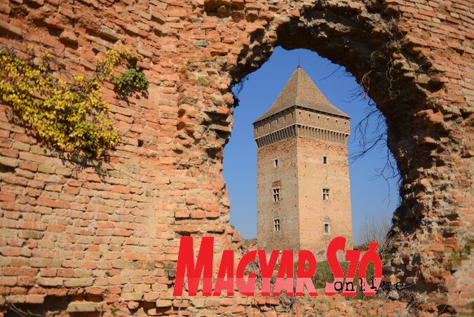 Fotó: Molnár Edvárd Fotó: Molnár Edvárd