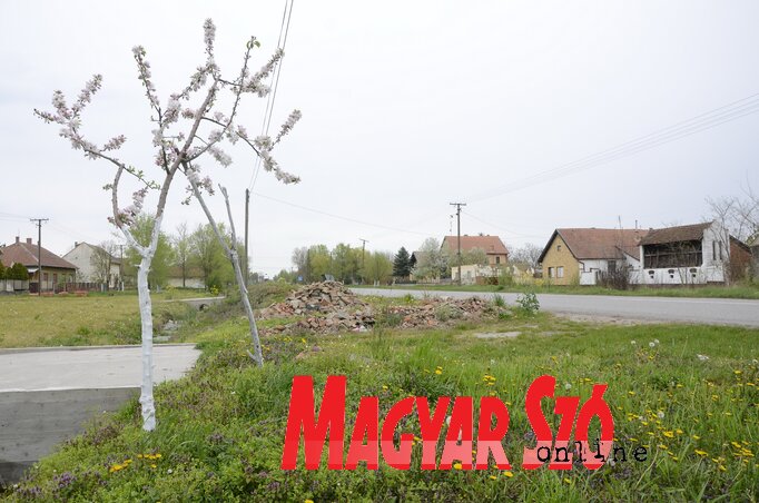 A széles bókai főutca (Fotó: Molnár Edvárd) A széles bókai főutca (Fotó: Molnár Edvárd)