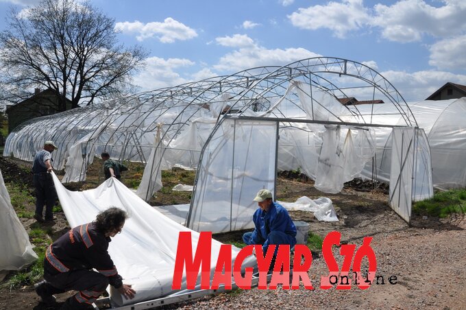 A tél megtette a magáét (Fotó: Kecskés István) A tél megtette a magáét (Fotó: Kecskés István)