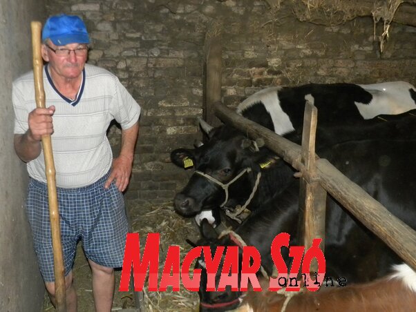 Zombori Gyula: szerencsére a zombori tejgyár átveszi a korábban az Imlek céghez tartozó gazdaságok által megtermelt tej jelentős részét (Fotó: Benedek Miklós)