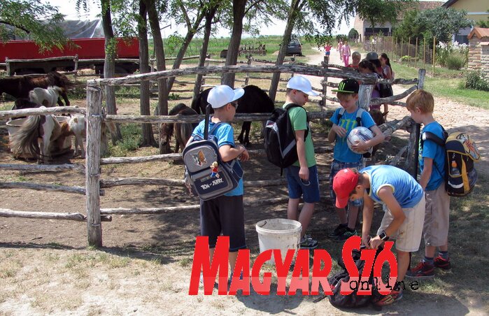 Millerék tanyája a muzslyai gyerekek kedvenc kirándulóhelye (Fotó: Kecskés István)