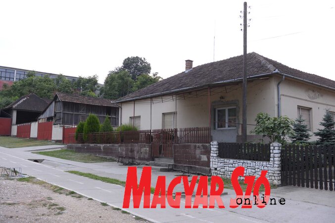 Fotó: Molnár Edvárd Fotó: Molnár Edvárd