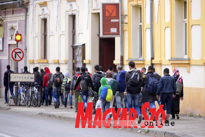 Magyarkanizsán az utóbbi napokban megháromszorozódott a bevándorlók száma (Fotó: Molnár Edvárd) Magyarkanizsán az utóbbi napokban megháromszorozódott a bevándorlók száma (Fotó: Molnár Edvárd)