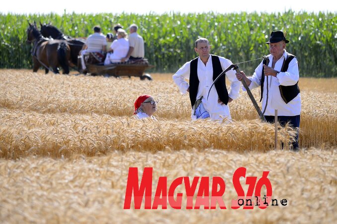 Fotó: Molnár Edvárd