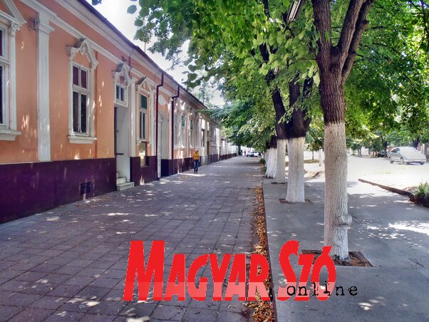 Mokrin főutcája (Fotó: Horváth Zsolt) Mokrin főutcája (Fotó: Horváth Zsolt)