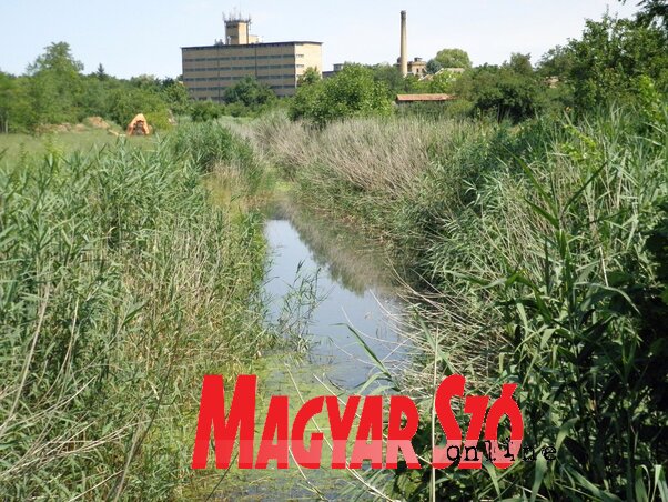 A Budzsák Ada központján folyik keresztül A Budzsák Ada központján folyik keresztül