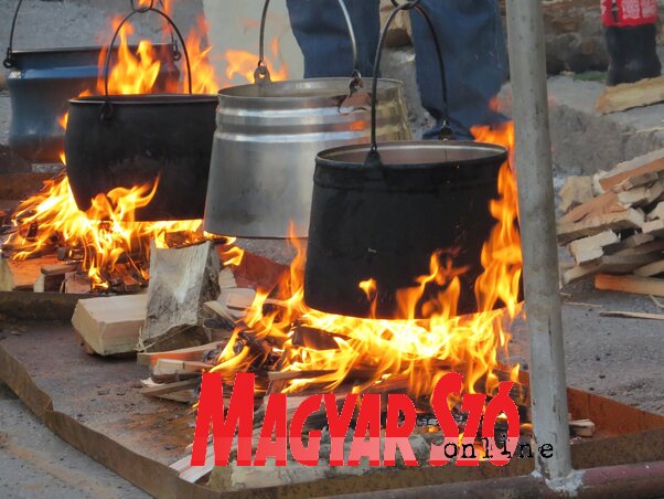 Hal, hagyma, só, nemes paprika, víz, puhafa tüzelő, meg persze bogrács – mindössze ennyi kell a halléhez (Fotó: Fekete J. József)