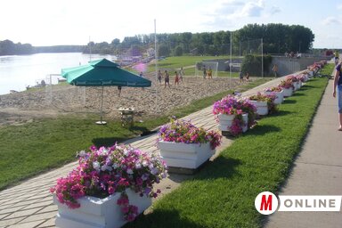A törökbecsei Tisza-part augusztus végén zsúfolásig megtelik (Fotó: Fehér Rózsa)