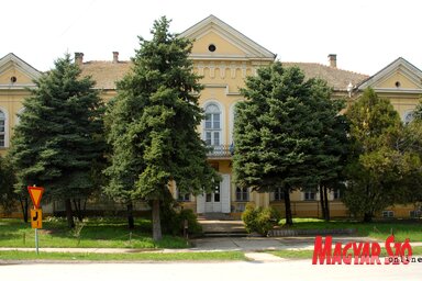 A kastély környékén ki kellene vágni az oda nem illő és az épületet eltakaró fákat