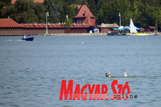 (Fotó: Molnár Edvárd) (Fotó: Molnár Edvárd)