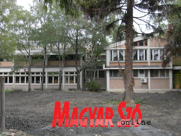 Az óbecsei községben az idén 33 gyerekkel több iratkozott óvodába, mint tavaly (Fotó: Fehér Rózsa)