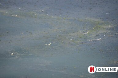 (Fotó: Molnár Edvárd)