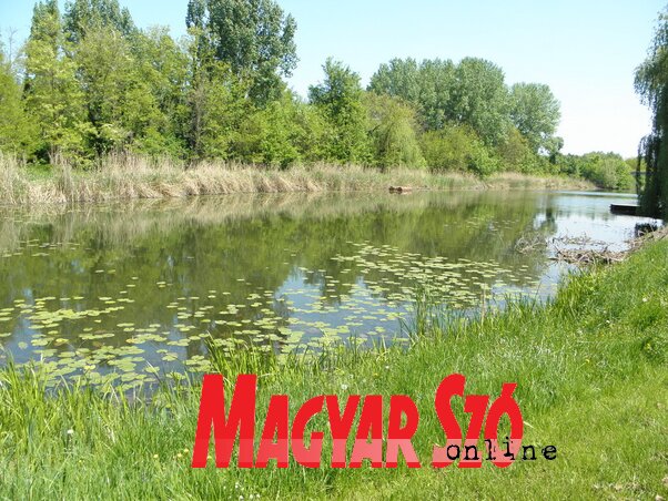 Szombaton benépesül a csatornapart (Fotó: Fekete J. József)