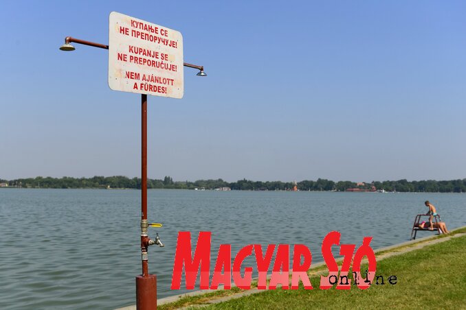 Fotó: Molnár Edvárd Fotó: Molnár Edvárd