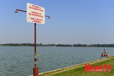 Fotó: Molnár Edvárd