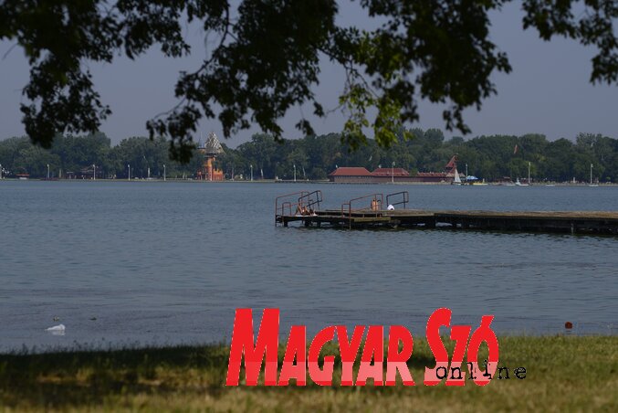 Fotó: Molnár Edvárd Fotó: Molnár Edvárd