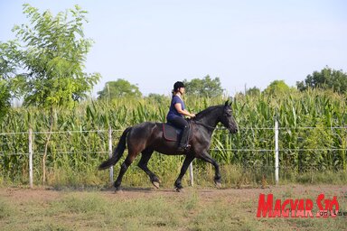 Lajkó Pesitz Laura és Néró között nagy az összhang (Fotó: Molnár Edvárd)