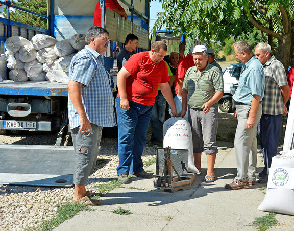 Zentán több mint négy tonna búza gyűlt össze a Magyarok kenyeréhez (Fotó: Gergely Árpád)